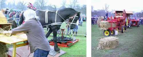 Old style threshing at Shanes Castle.