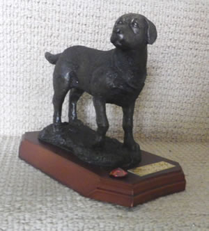 International Retriever Trophy