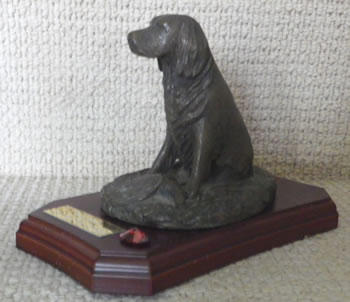 International Spaniel Trophy