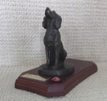 Spaniel Trophy